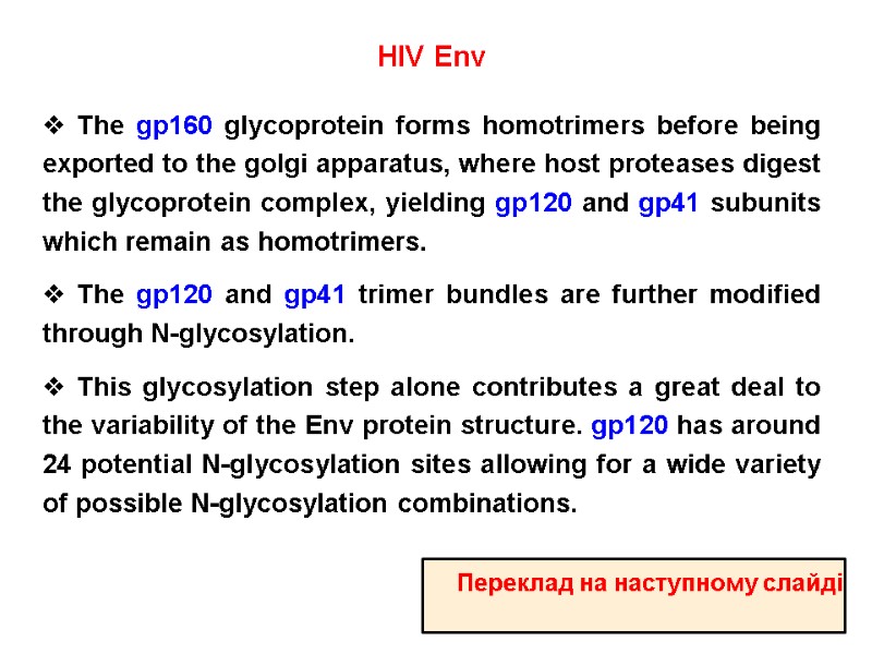 HIV Env  The gp160 glycoprotein forms homotrimers before being exported to the golgi